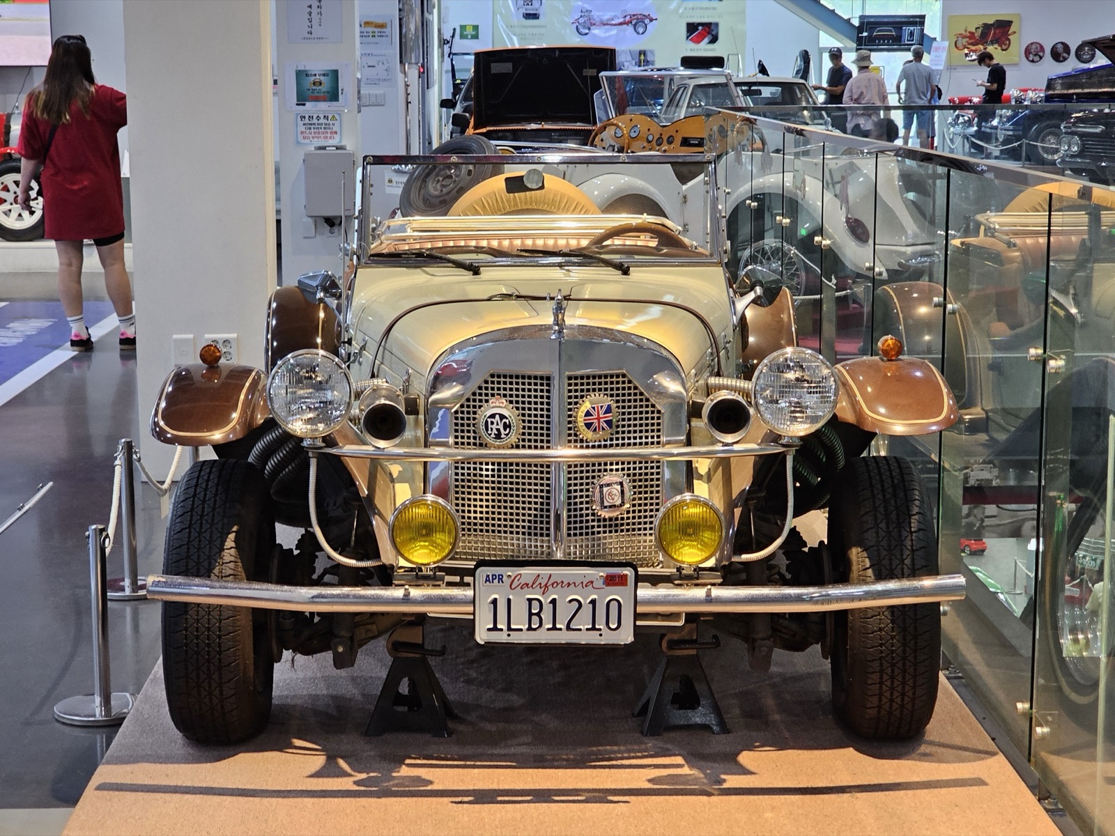 Front view of a cream replica roadster with chrome flexible exhaust pipes, twin horns, yellow fog lamps and a California number plate, in a museum
