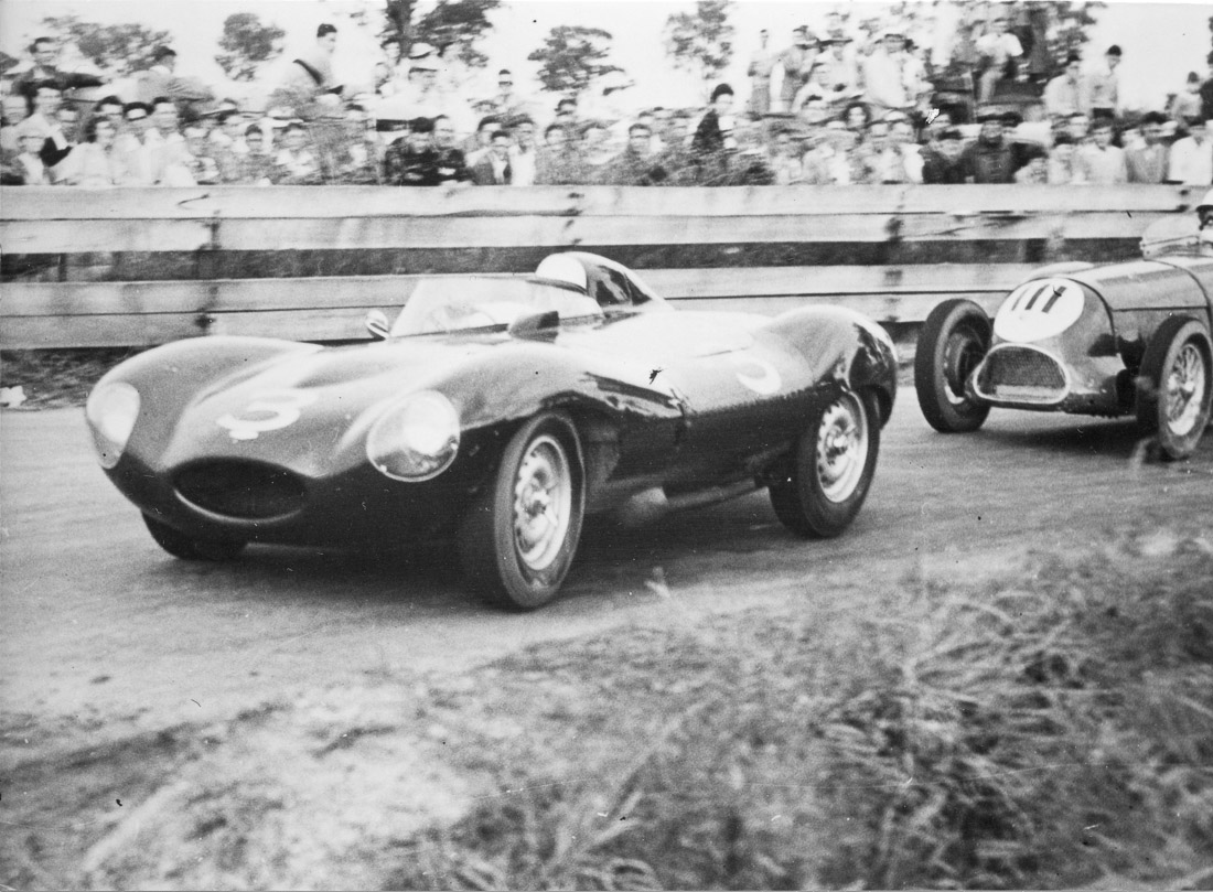 1955 Jaguar D Type with Austalian Race History