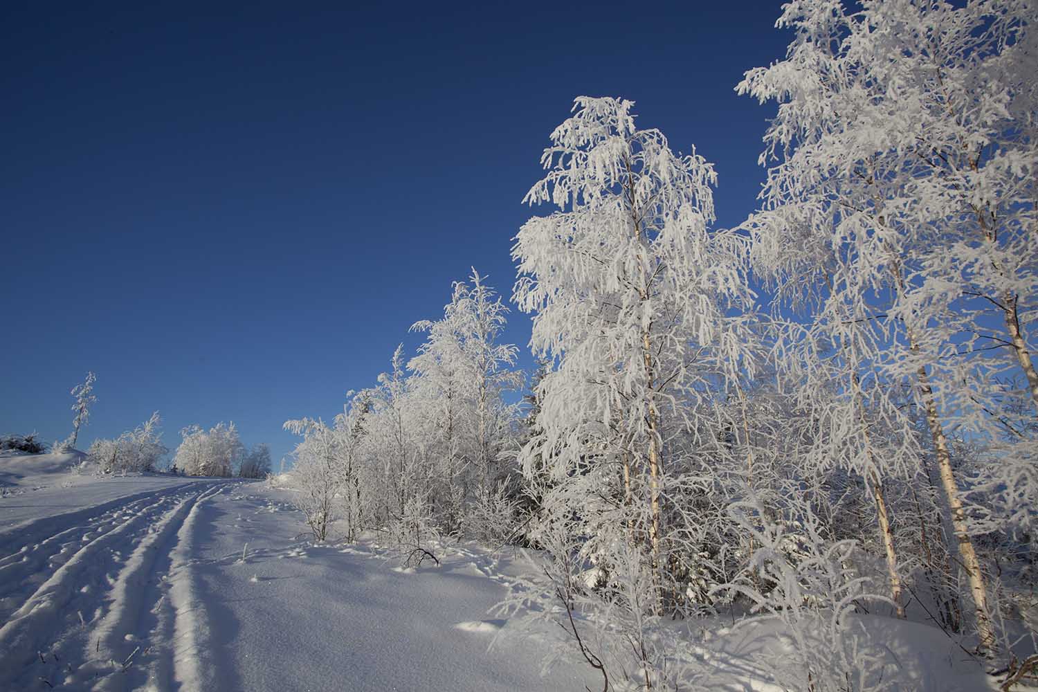 Take a moment to enjoy the spectacular Scandinavian wilderness