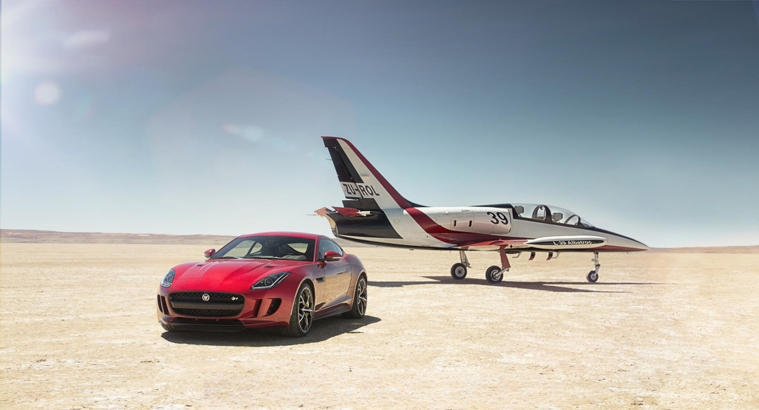 Jaguar and Bloodhound – Cats and Dogs Working Together