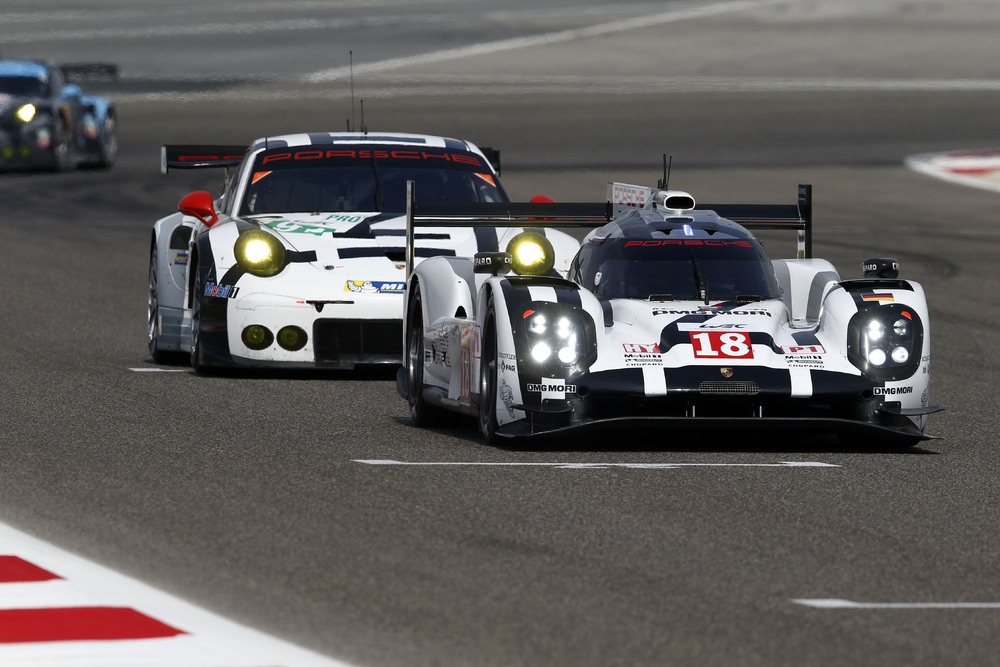 Today's World Champions, making modern motorsport exciting once again