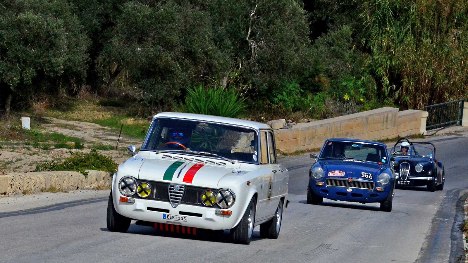 Mauro Portelli Alfa leads Guy Broad MG then Malta GP regular John Burton XK120